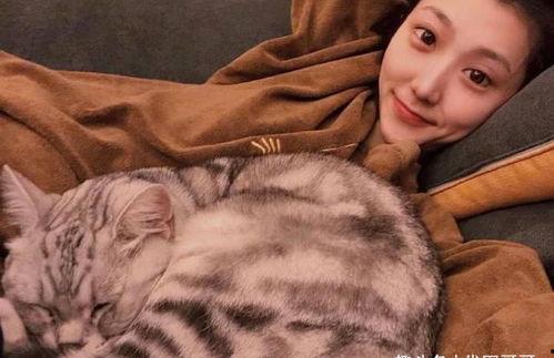 娱乐吃瓜君网红虐猫是谁,娱乐吃瓜君揭露虐猫网红真相  第3张