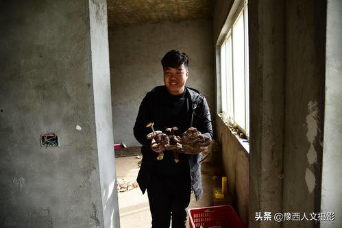 娱乐历史吃瓜社美院求学,娱乐历史中的“吃瓜”求学生活  第3张