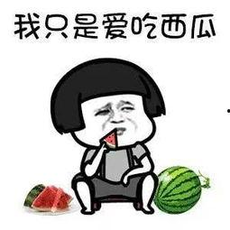 娱乐圈吃瓜的梗有哪些图片,揭秘明星幕后那些事儿  第2张